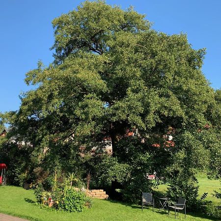Ferienwohnung Am Rennsteig Bei Eisenach - Ilona Schmidt Wolfsburg-Unkeroda Esterno foto