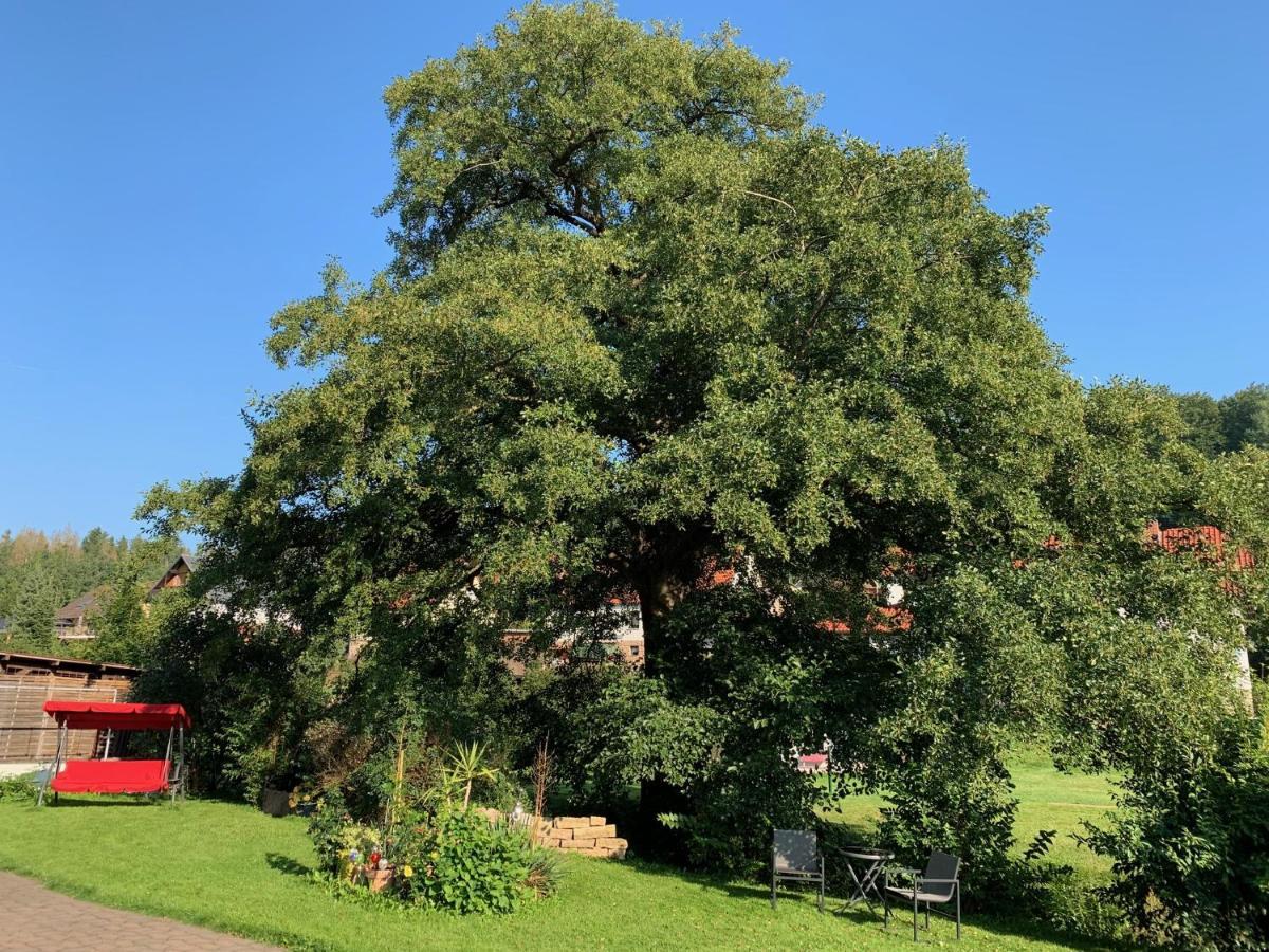 Ferienwohnung Am Rennsteig Bei Eisenach - Ilona Schmidt Wolfsburg-Unkeroda Esterno foto